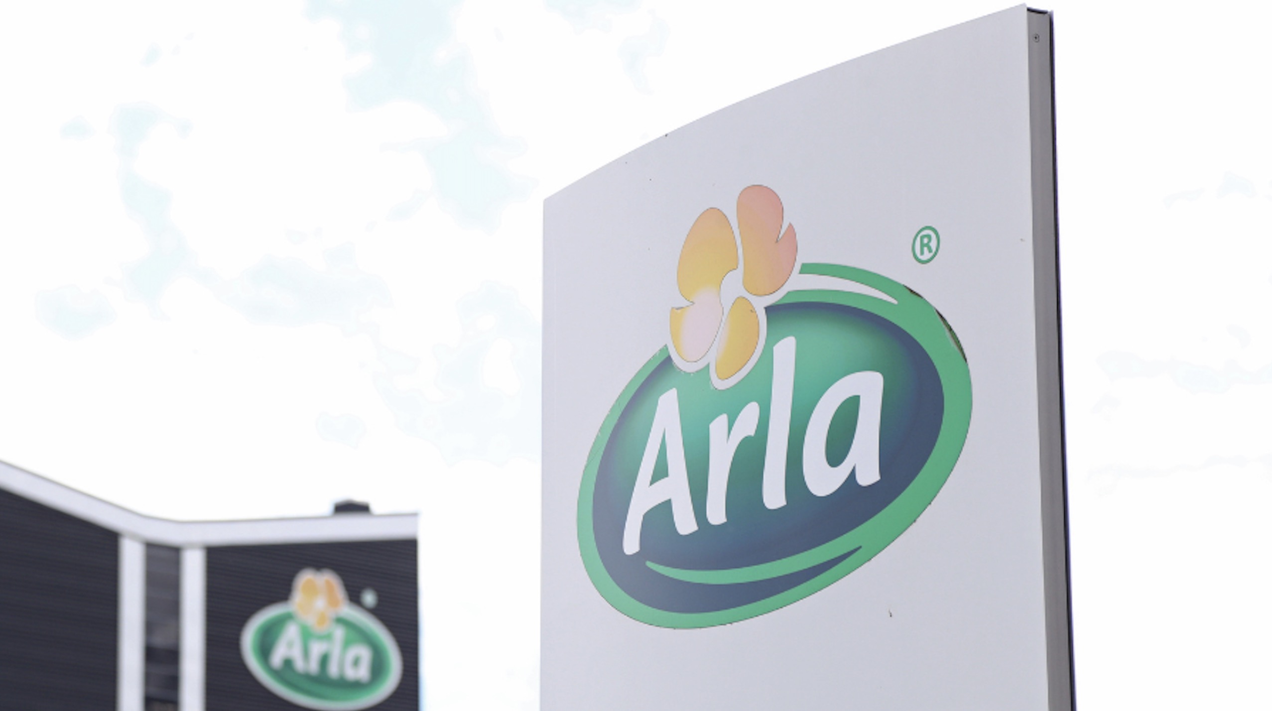 Arla Foods appoints Mediahub NZ as media agency; extends partnership across Tasman
